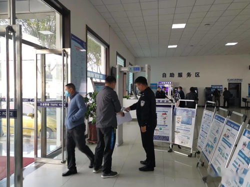 标耀北京车牌代办全流程解析：老司机教你避开这7大坑